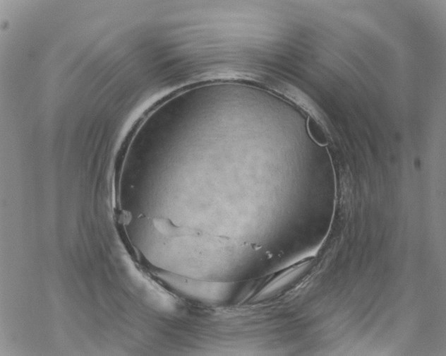 X0000069411132200605192257