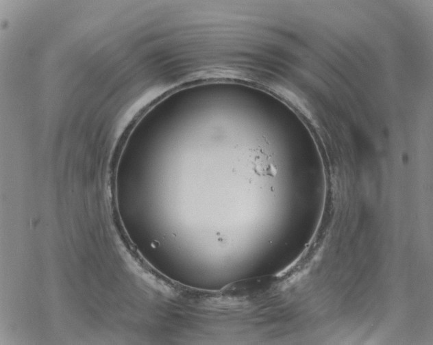 X0000069411133200605192257