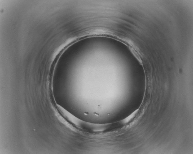 X0000069411134200605192257