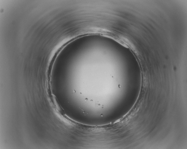 X0000069411136200605192257