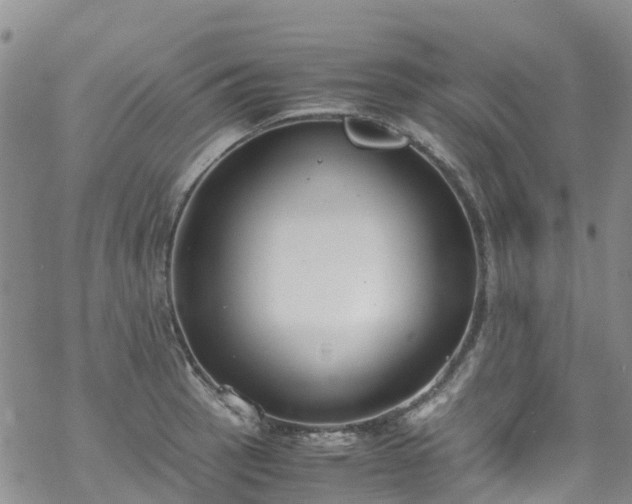 X0000069411137200605192257