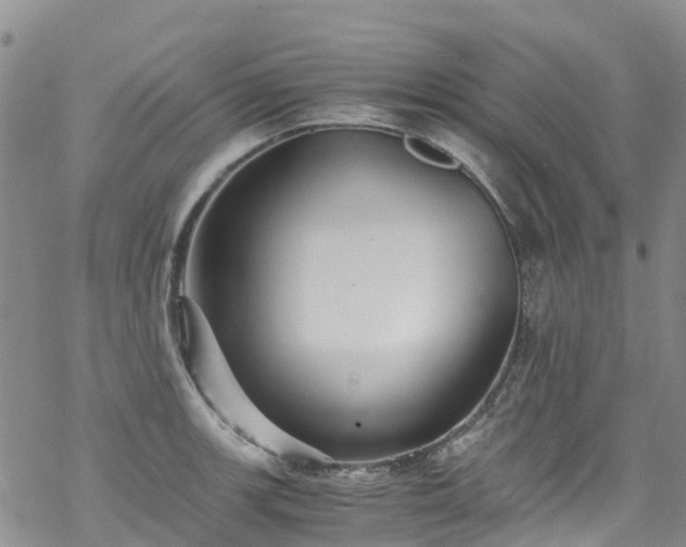 X0000069411139200605192257