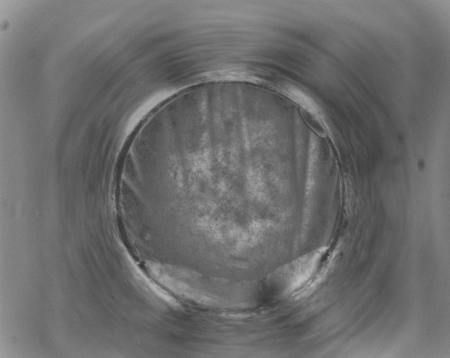 X0000069411141200605192257