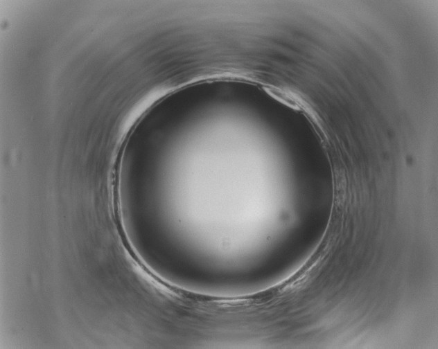 X0000069411151200605192257