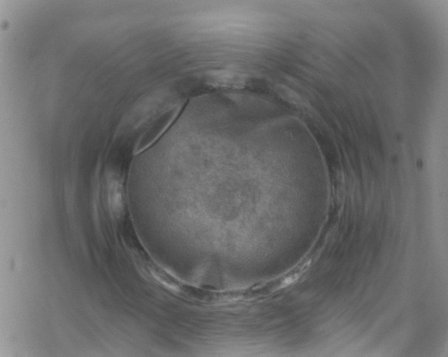 X0000069411154200605192257