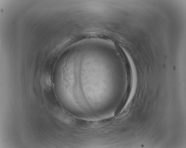 X0000069411155200605192257