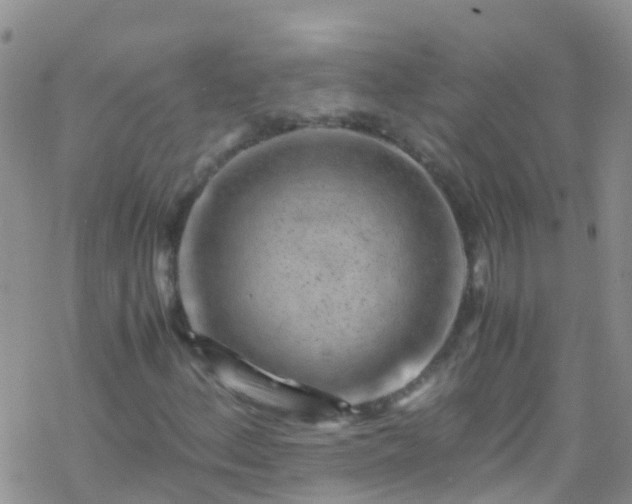 X0000069411156200605192257