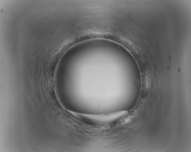 X0000069411157200605192257