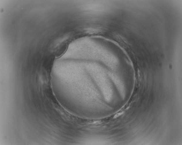 X0000069411158200605192257