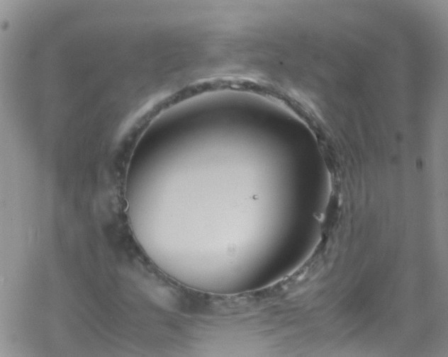 X0000069411159200605192257