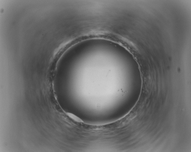 X0000069411160200605192257