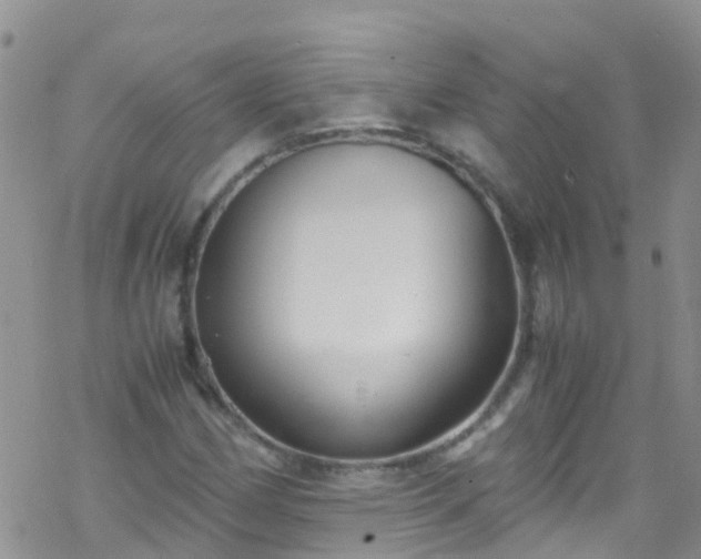 X0000069411162200605192257