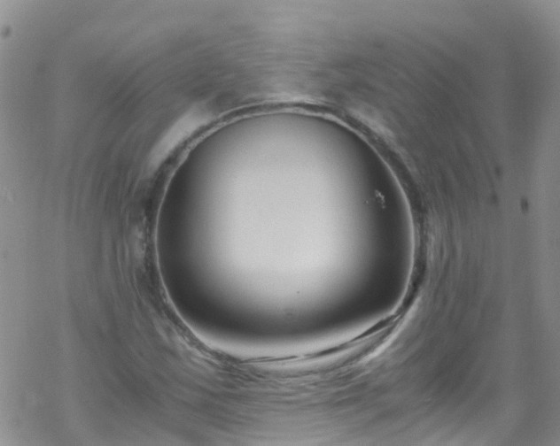 X0000069411163200605192257