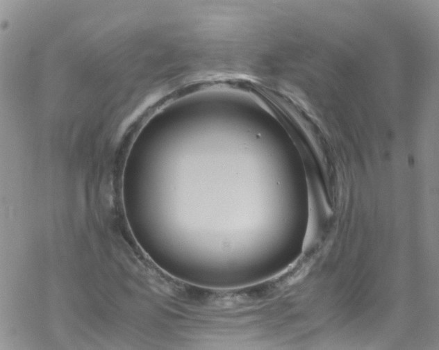 X0000069411165200605192257