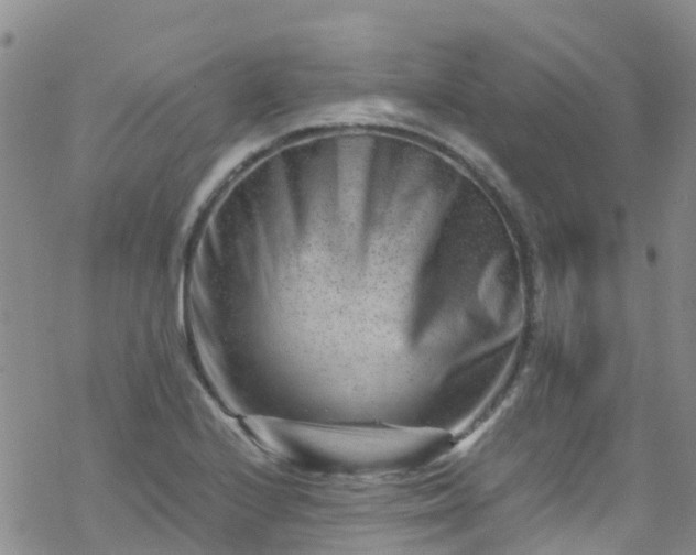 X0000069411224200605192256