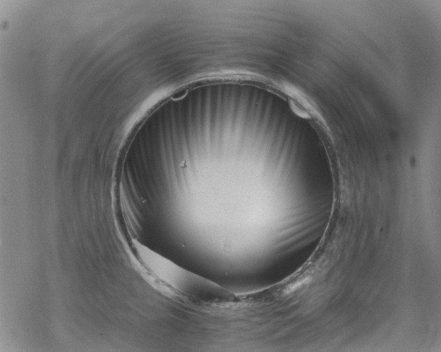 X0000069411237200605192256
