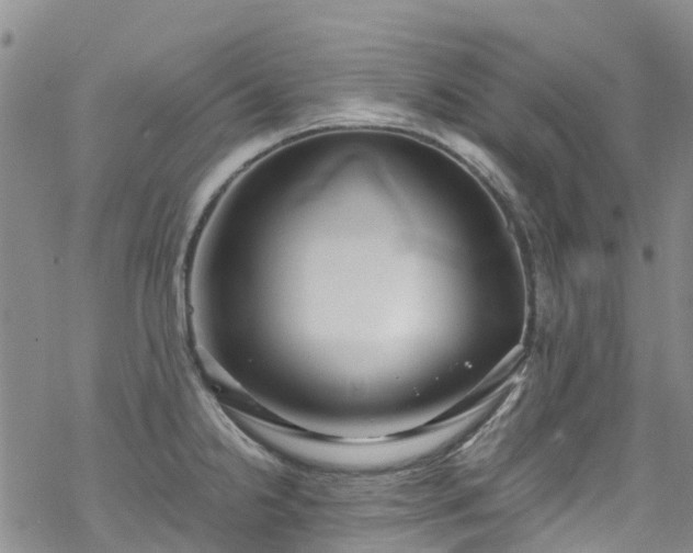 X0000069411238200605192256