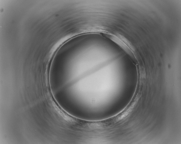 X0000069411246200605192256