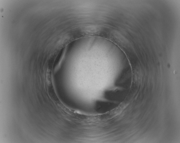 X0000069411346200605192254