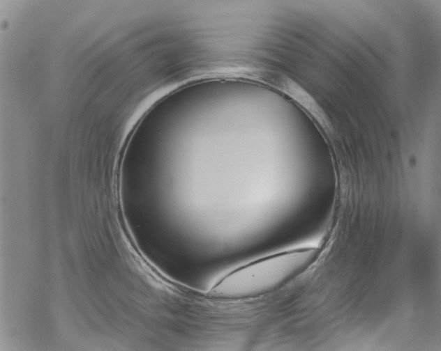 X0000069411436200605192253