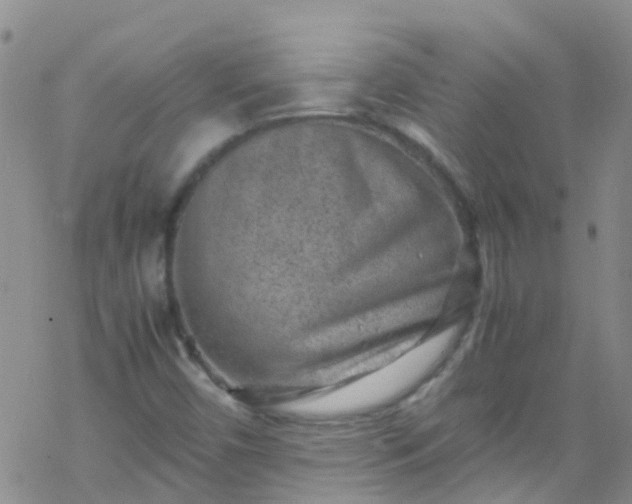 X0000069411450200605192252