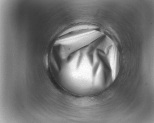 X0000069410020200605262221