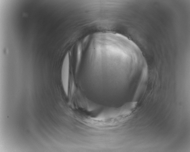 X0000069410027200605262221