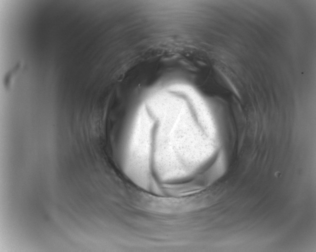 X0000069410034200605262221