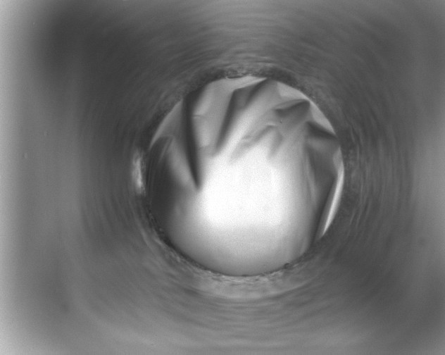 X0000069410042200605262220