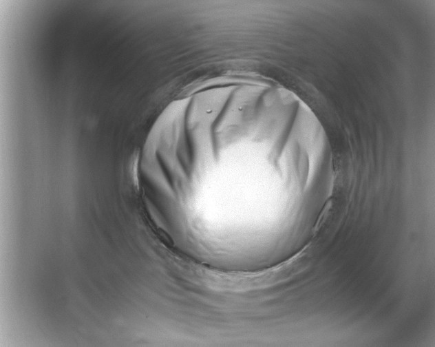 X0000069410047200605262220