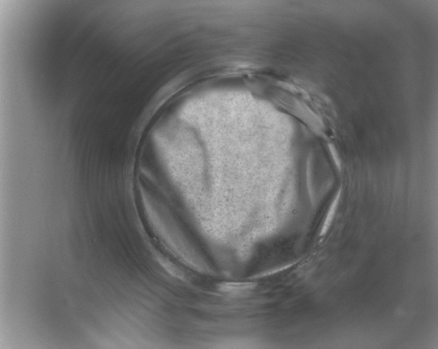 X0000069410051200605262220