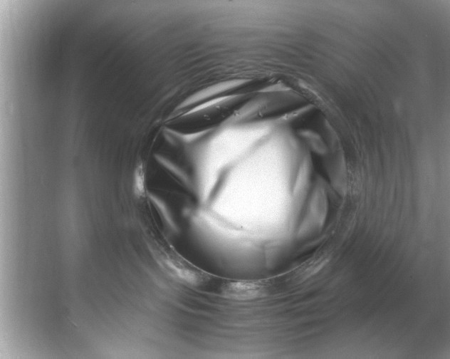 X0000069410095200605262220