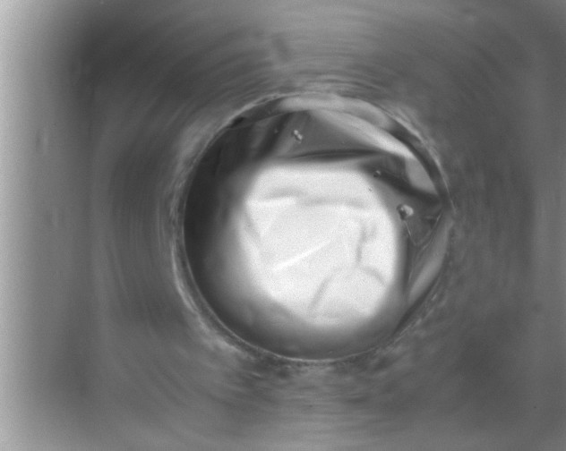 X0000069410097200605262219