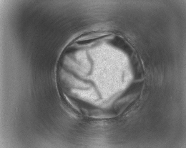 X0000069410100200605262219