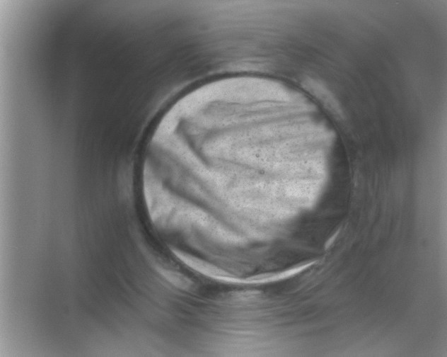 X0000069410108200605262219