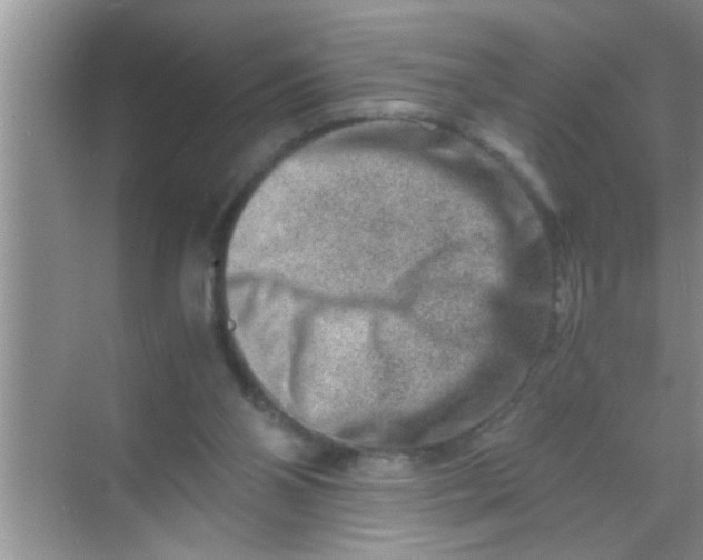 X0000069410110200605262219