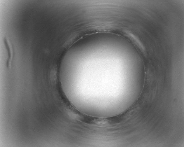 X0000069410113200605262219