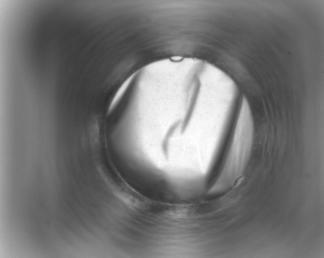 X0000069410120200605262219
