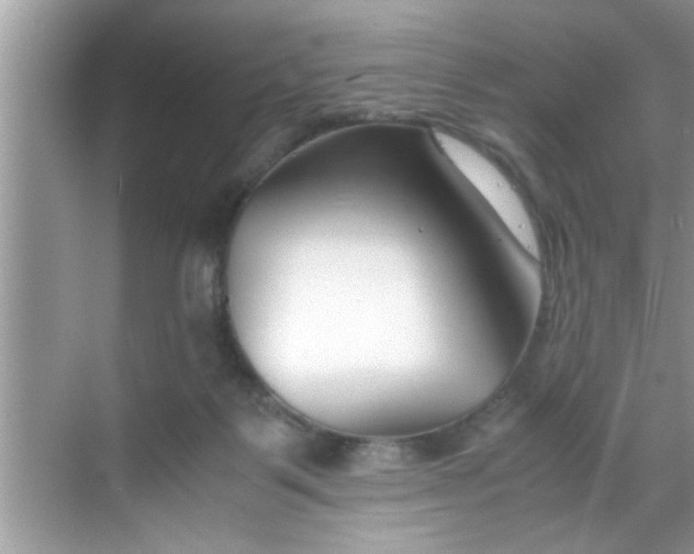 X0000069410123200605262219