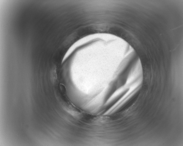 X0000069410128200605262219