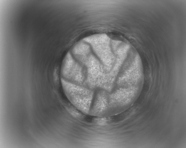 X0000069410131200605262219
