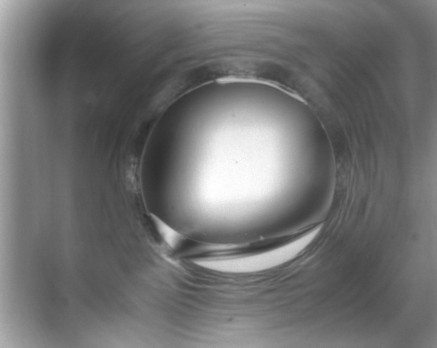 X0000069410141200605262219