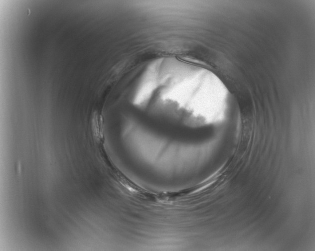 X0000069410143200605262219