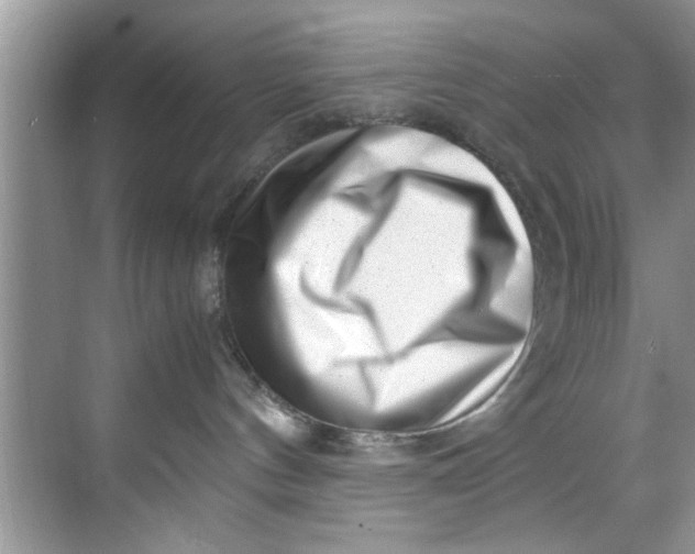 X0000069410144200605262219