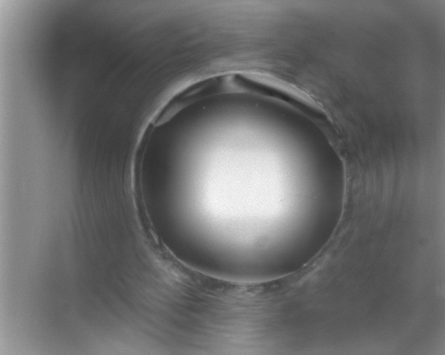 X0000069410148200605262218