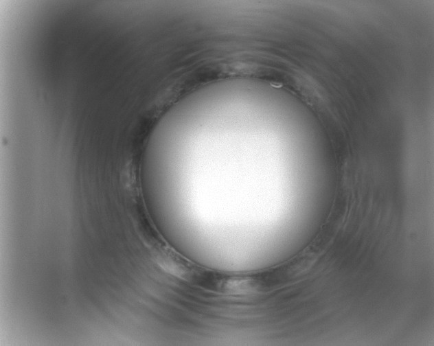 X0000069410173200605262218
