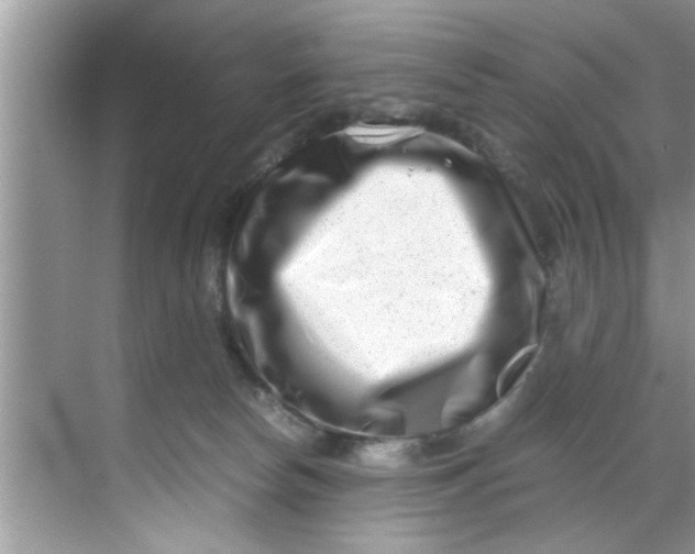X0000069410178200605262218