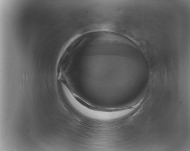 X0000069410200200605262218