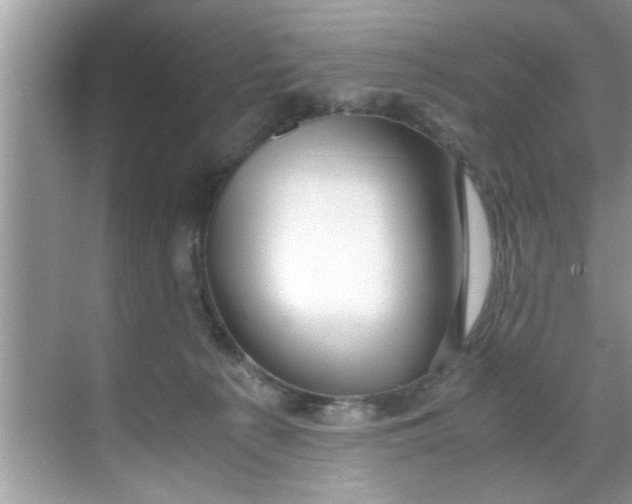 X0000069410225200605262217