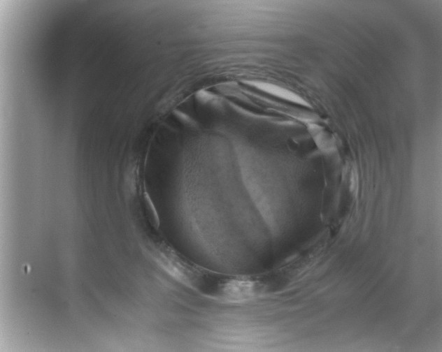 X0000069410227200605262217